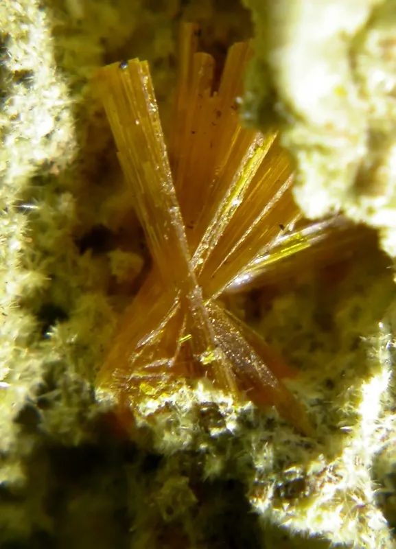 Becquerelite (Ca(UO₂)₆O₄(OH)₆·8H₂O) : minéral de la famille « oxydes et hydroxydes », système orthorhombique, dureté 2 à 3 (Mohs), couleurs : jaune ambre, jaune orangé