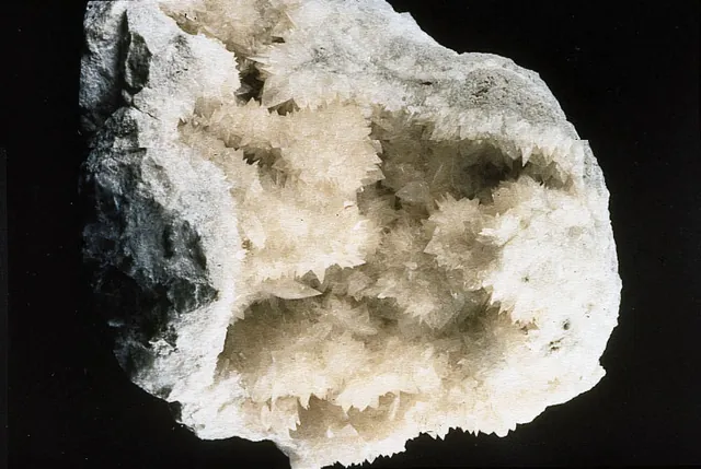 Colémanite (CaB₃O₄(OH)₃·H₂O) : minéral de la famille « borates », système monoclinique, dureté 4,5 (Mohs), couleurs : incolore, blanc, gris, jaunâtre