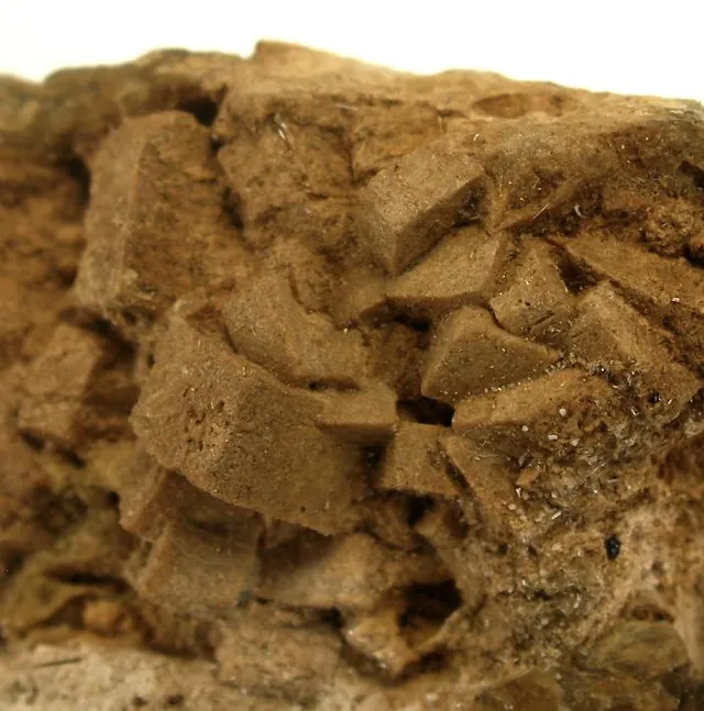 Gehlénite (Ca₂Al₂SiO₇) : minéral de la famille « silicates (sorosilicates) », système quadratique, dureté 5 à 6 (Mohs), couleurs : gris, brun, vert pâle