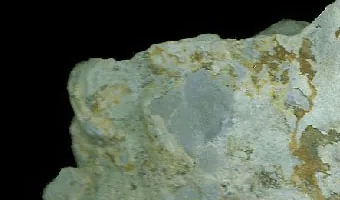 Glauconite (K(Fe,Al,Mg)₂(Al,Si)₄O₁₀(OH)₂) : minéral de la famille « silicates (phyllosilicates) », système monoclinique, dureté 2 (Mohs), couleurs : vert foncé, vert olive