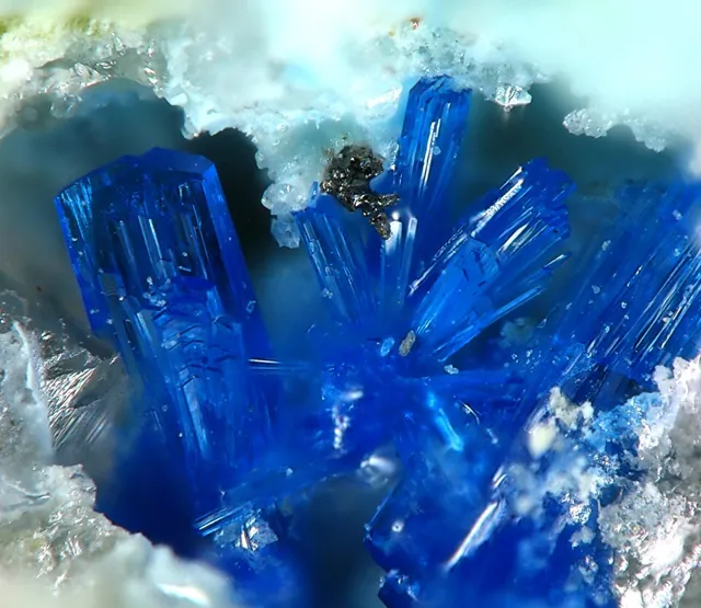 Linarite (PbCu(SO₄)(OH)₂) : minéral de la famille « sulfates, chromates, molybdates et tungstates », système monoclinique, dureté 2,5 (Mohs), couleurs : bleu azur intense