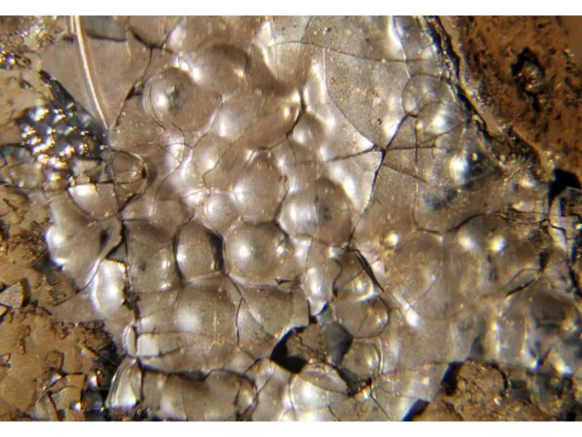Lithiophorite ((Al,Li)MnO₂(OH)₂) : minéral de la famille « oxydes et hydroxydes », système trigonal, dureté 3 (Mohs), couleurs : noir bleuté