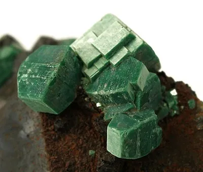 Métazeunérite (Cu(UO₂)₂(AsO₄)₂·8H₂O) : minéral de la famille « phosphates, arséniates et vanadates », système quadratique, dureté 2,5 (Mohs), couleurs : vert émeraude