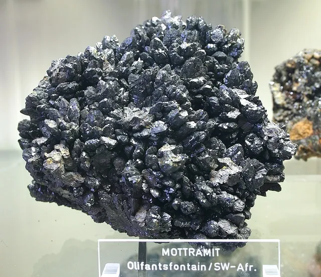 Mottramite (PbCu(VO₄)(OH)) : minéral de la famille « phosphates, arséniates et vanadates », système orthorhombique, dureté 3 à 3,5 (Mohs), couleurs : vert olive, vert jaune, brun noir