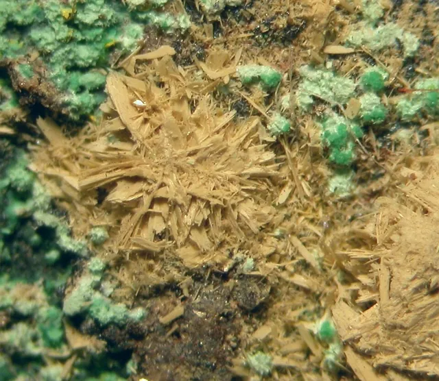 Rutherfordine (UO₂CO₃) : minéral de la famille « carbonates », système orthorhombique, couleurs : jaune, jaune paille