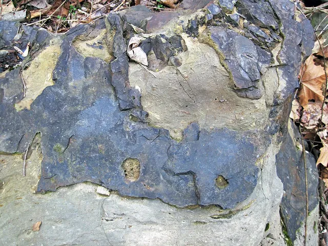 Silex (SiO₂) : minéral de la famille « oxydes et hydroxydes », système trigonal, dureté 6,5 à 7 (Mohs), couleurs : gris, brun, noir, blond
