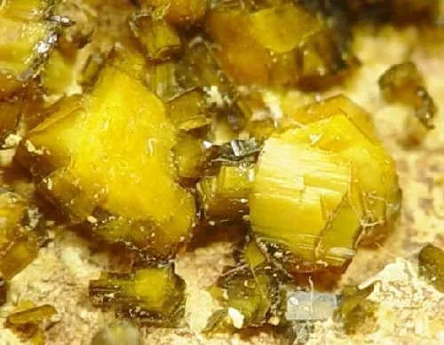 Soddyite ((UO₂)₂SiO₄·2H₂O) : minéral de la famille « silicates (nésosilicates) », système orthorhombique, dureté 3 à 4 (Mohs), couleurs : jaune citron, jaune