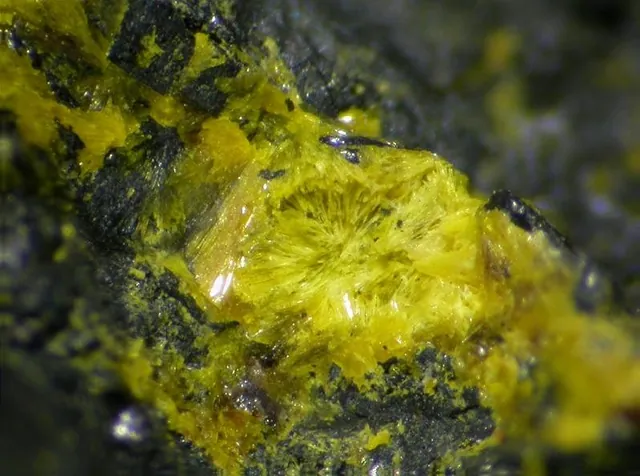 Uranopilite ((UO₂)₆(SO₄)O₂(OH)₆·14H₂O) : minéral de la famille « sulfates, chromates, molybdates et tungstates », système monoclinique, couleurs : jaune, jaune vert