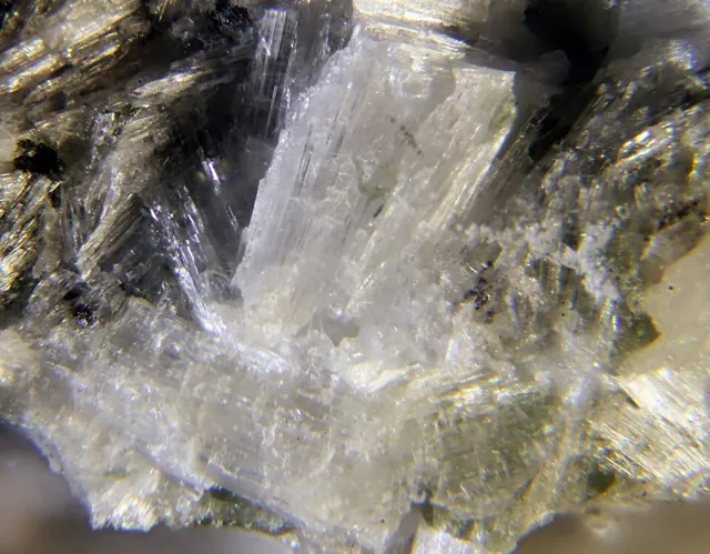 Wollastonite (CaSiO₃) : minéral de la famille « silicates (inosilicates) », système triclinique, dureté 4,5 à 5 (Mohs), couleurs : blanc, gris, incolore